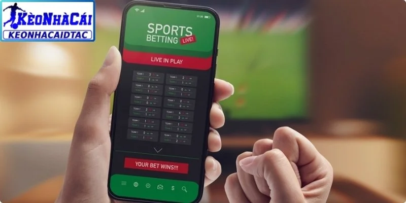 Bật mí tips soi kèo cược chấp 3 chiều hiệu quả
