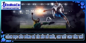 Cách Đọc Kèo Bóng Đá Tài Xỉu