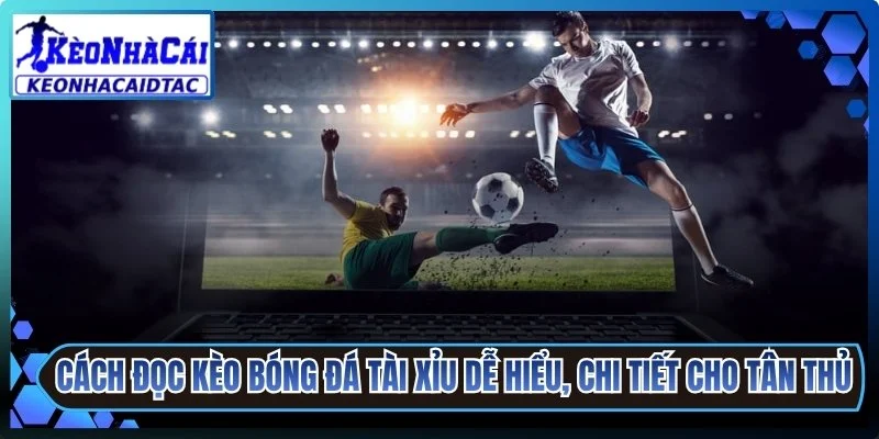 Cách Đọc Kèo Bóng Đá Tài Xỉu
