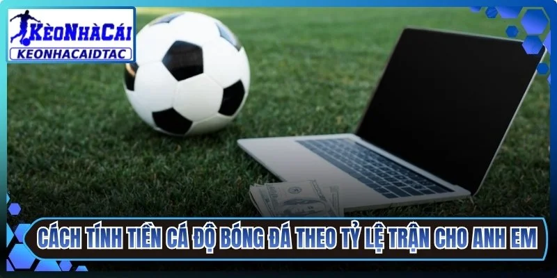 Cách Tính Tiền Cá Độ Bóng Đá