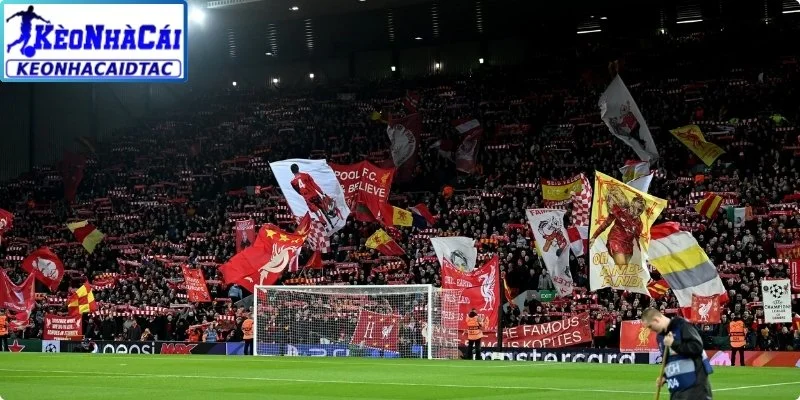 Fan Liverpool gọi là gì? ý nghĩa trong những trận đấu