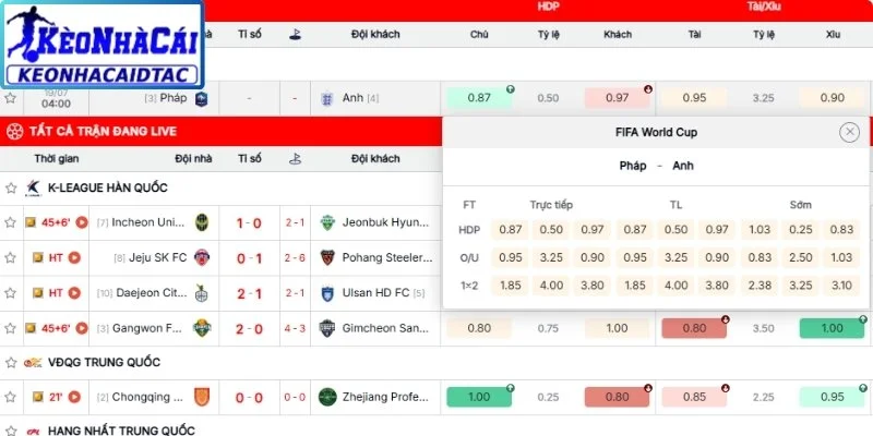 Khái niệm trong cược Châu Á 